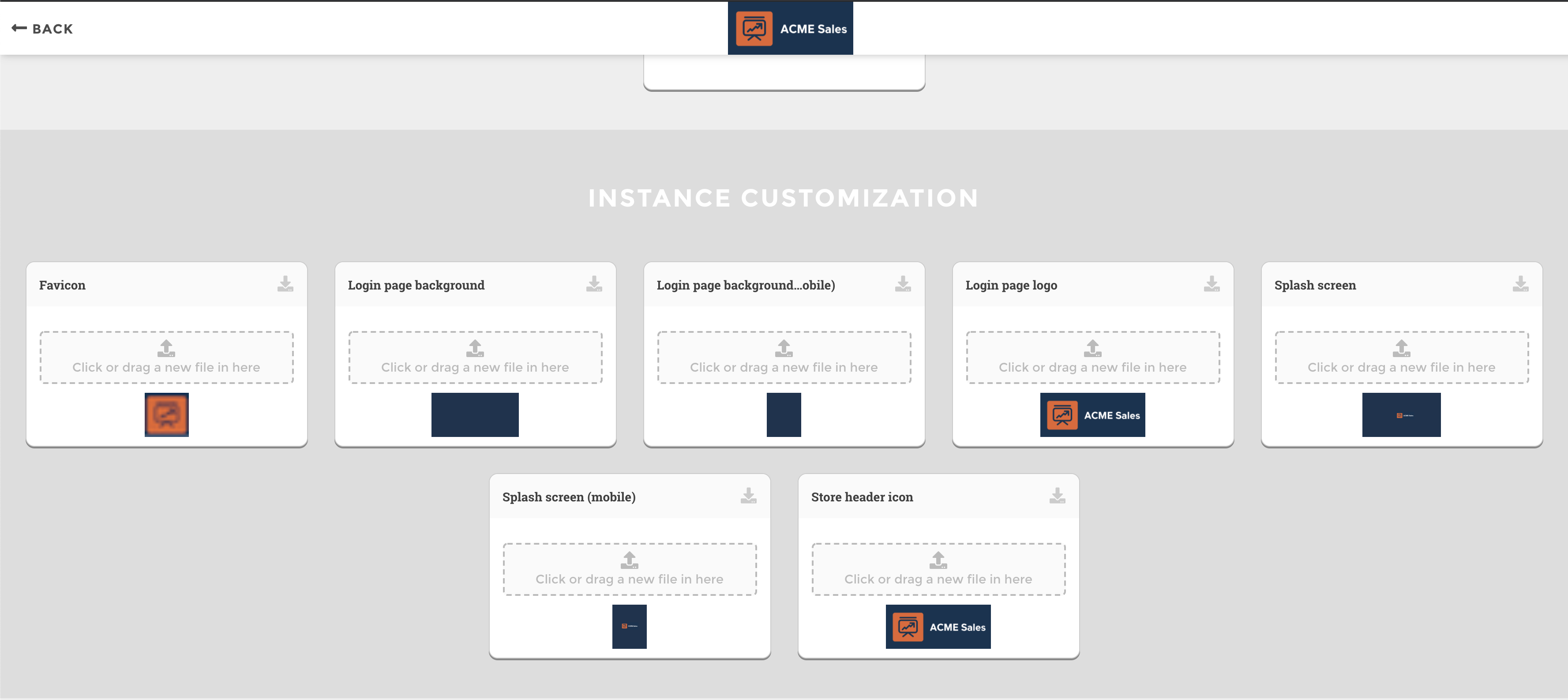 instance-customization-after