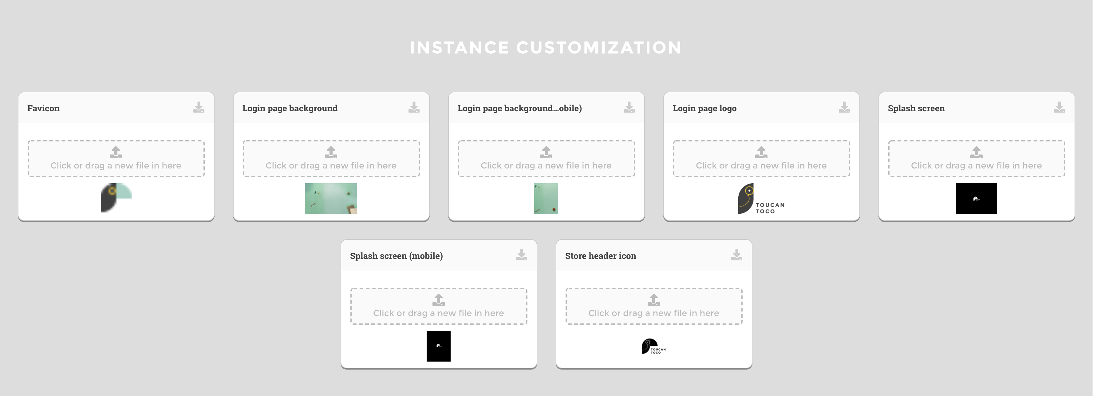 instance-customization-before